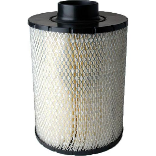 Donaldson Air Filter B085001