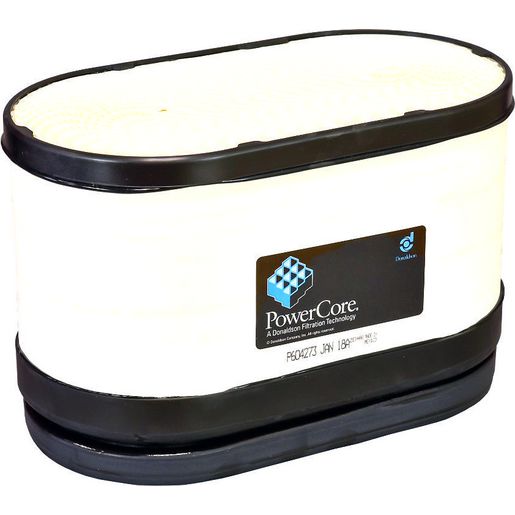 Donaldson Air Filter P604273