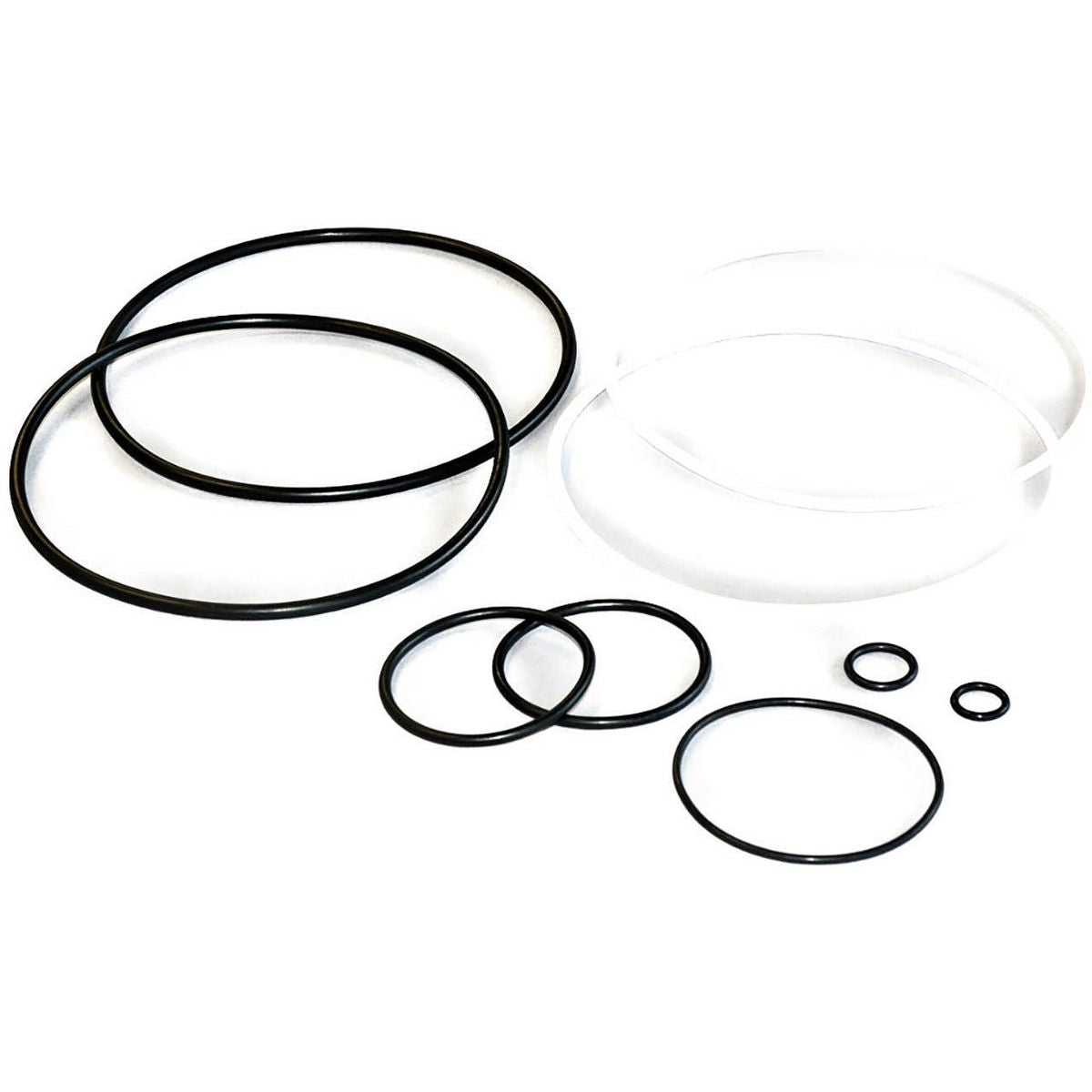 Donaldson Hydraulic Seal P160234