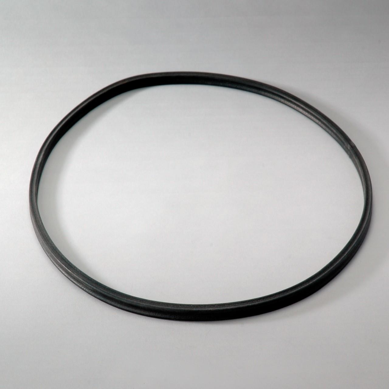 Donaldson Gasket Cl 13.8Id .35H P016972