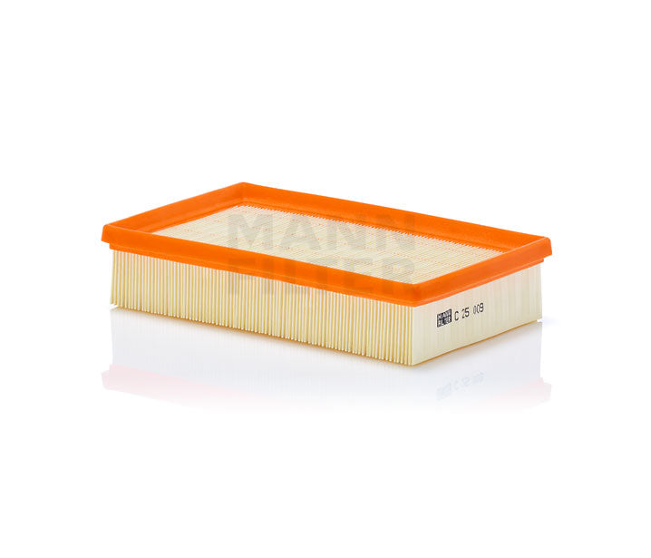 MANN Air Filter C25009