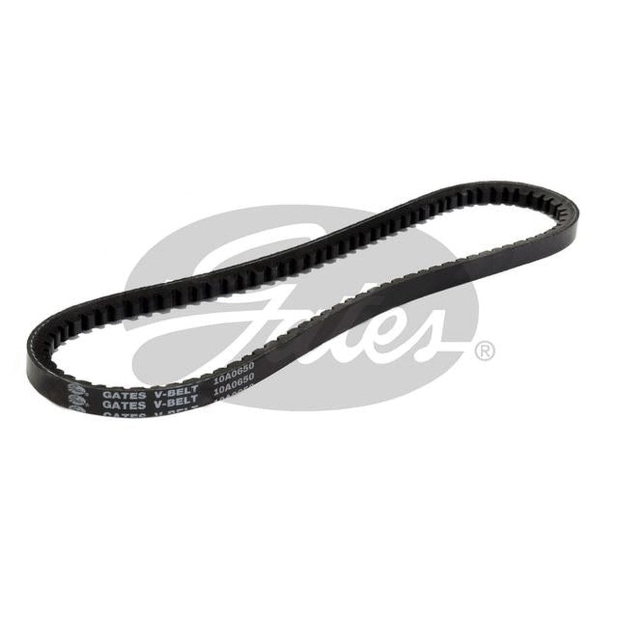 Gates Micro-V Belt 10A0650