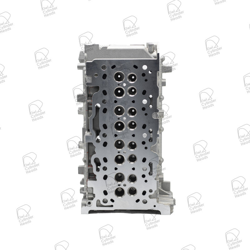 Kiwi Cylinder Head 10041326