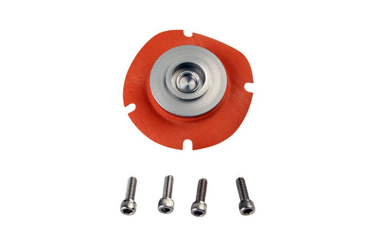 Aeromotive Reg Rebuild Kit Suit # 13113 ARO13006