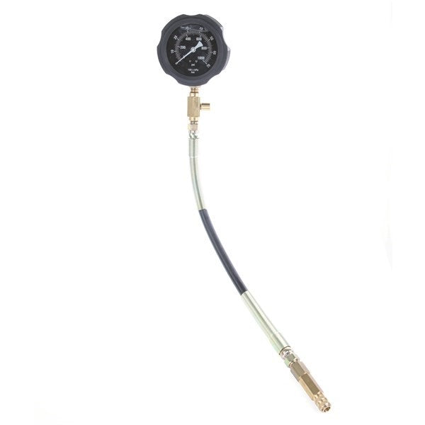 Toledo Guage Assembly & Hose 1000Psi 600Mm 304600A