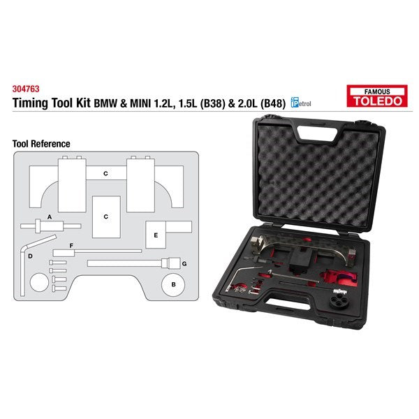 Toledo Timing Tool Kit Bmw 304763
