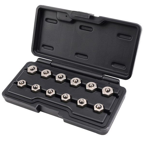 Toledo Diesel Injector Cap Nut Set 12Pc 307351