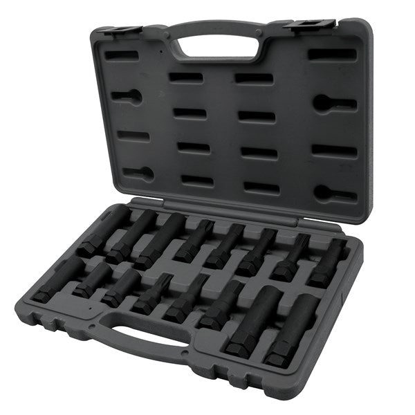 Toledo 16Pc Wheel Nut Master Key Set 309249