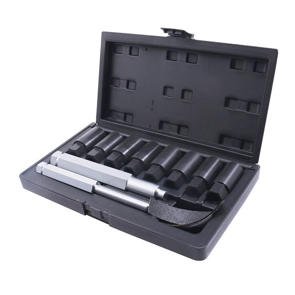 Toledo Wheel Lock/Lug Nut Removal Set 309407