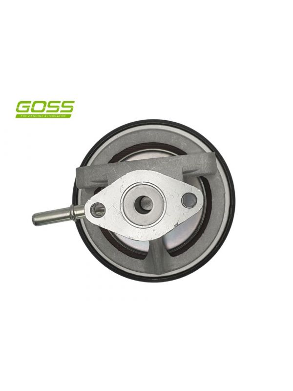 Goss EGR valve EV101