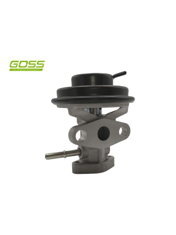 Goss EGR valve EV101