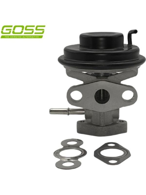 Goss EGR valve EV101