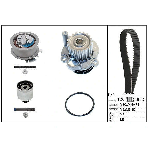 INA Water Pump & Timing Belt Kit 530 0201 32