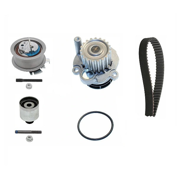 INA Water Pump & Timing Belt Kit 530 0201 32