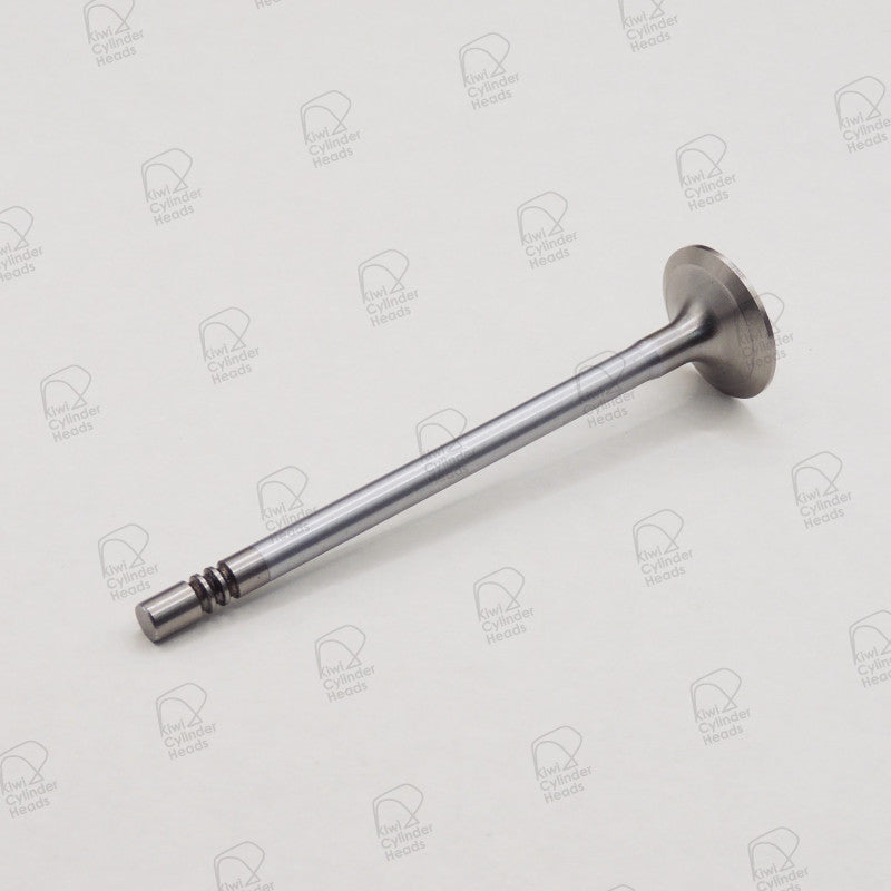 Kiwi Inlet Valve 53040526