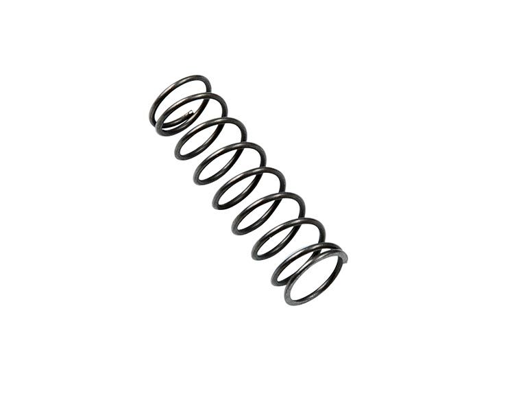 Sonnax Fwd/ Control Springs(5R55W) 56947J-S6