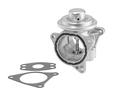 Borg Warner Egr Valve 7496D/1
