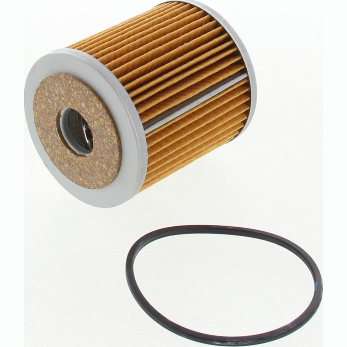 Ryco Oil Filter R2108P