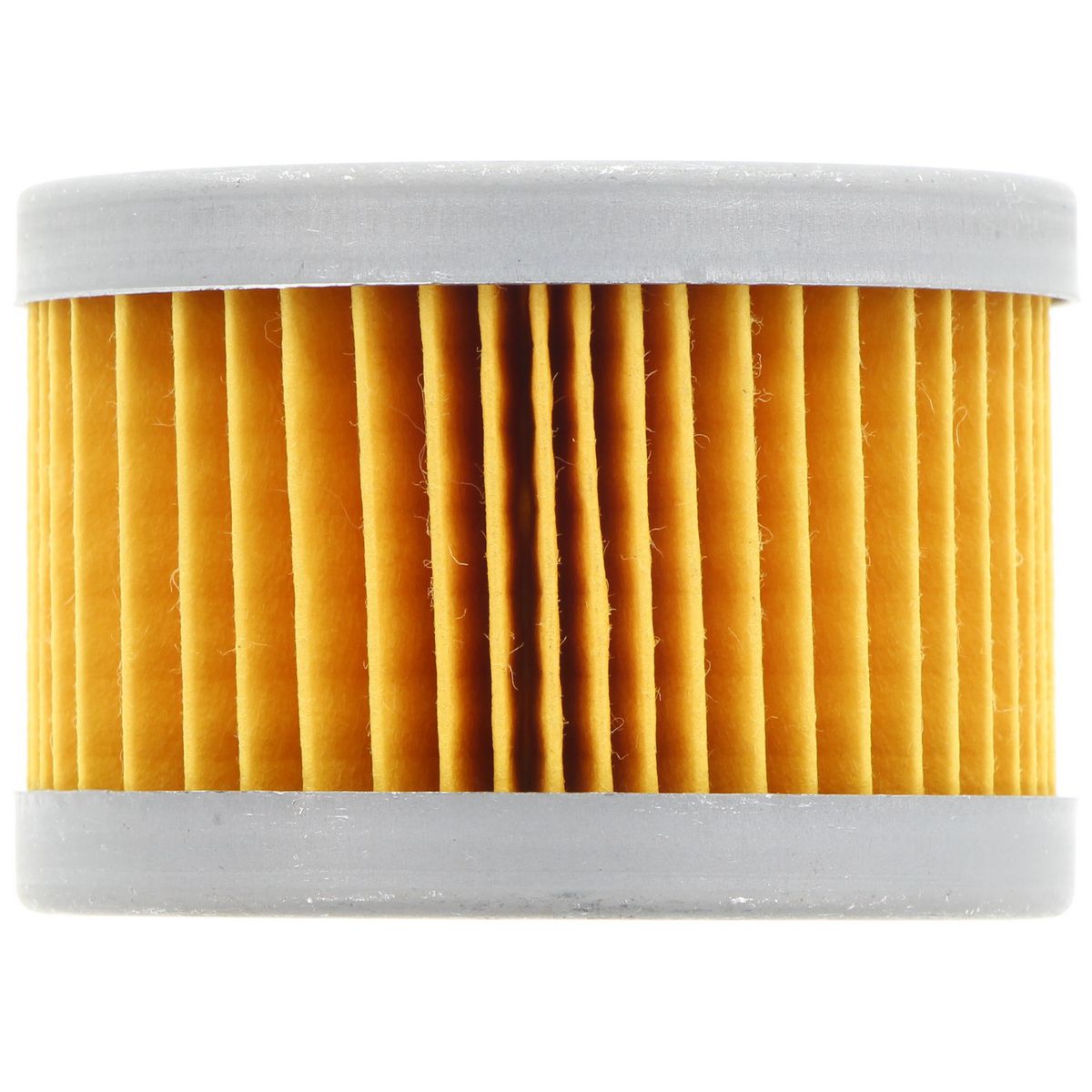 Ryco Fuel Filter R2045P