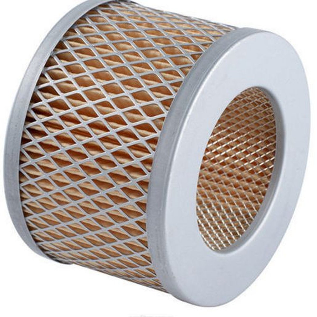 Ryco Air Filter A22