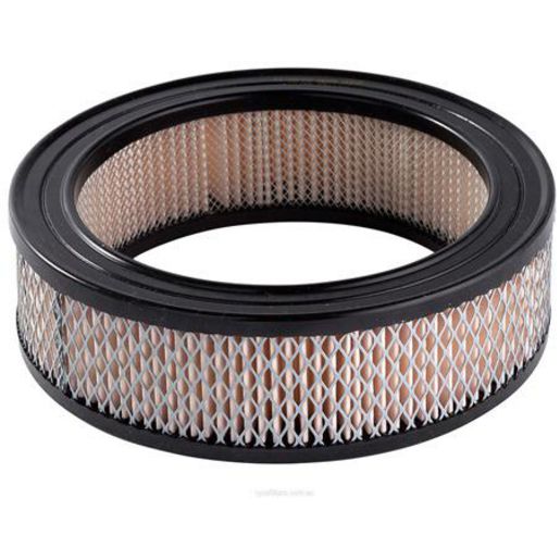 Ryco Air Filter A100
