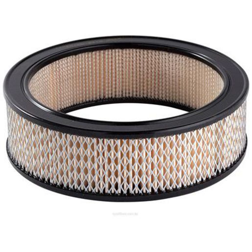 Ryco Air Filter A122
