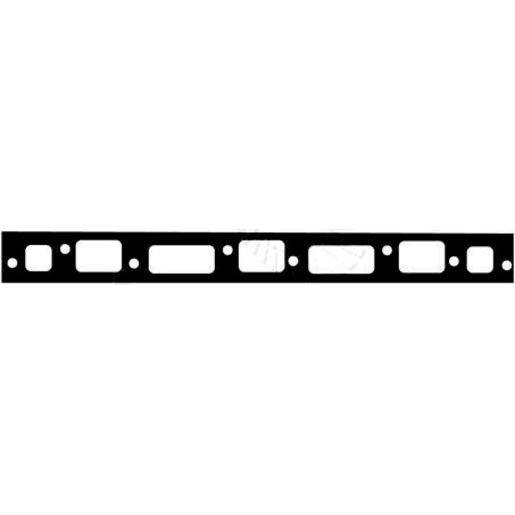 ACL Manifold Gasket DSF2