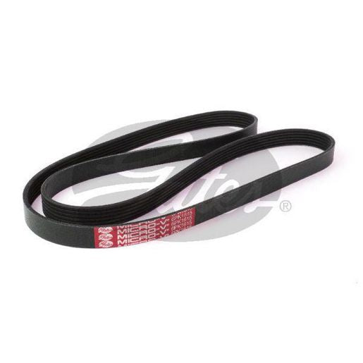 Gates Ribbed Belt 6PK1615