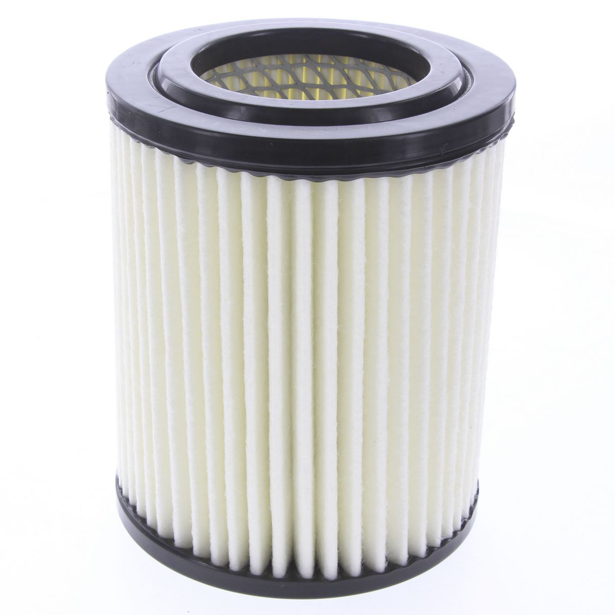 Proselect Air Filter PAF191