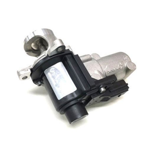 Genuine OEM Parts EGR Valve EV137GEN