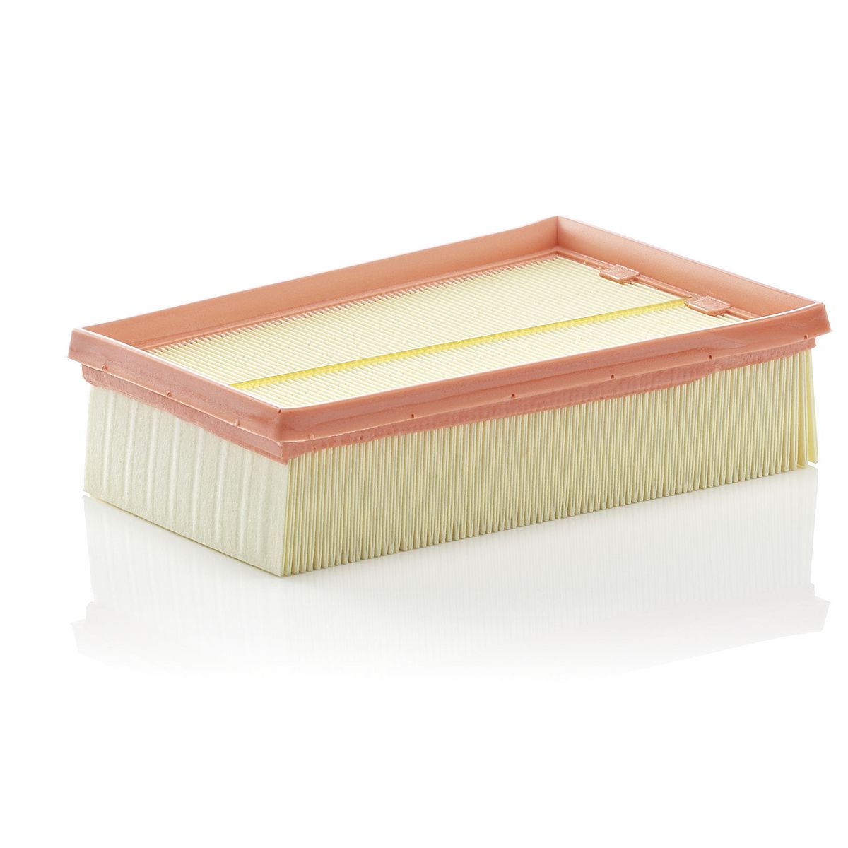MANN Air Filter C 2433/2
