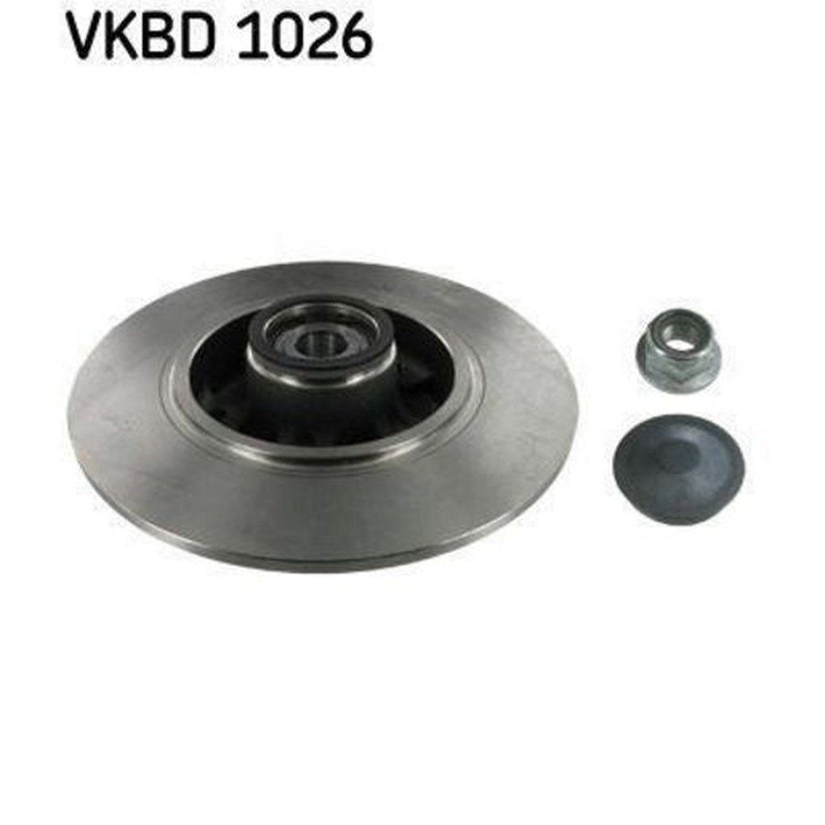 SKF Brake Rotor w/ Bearing 260mm Rear VKBD 1026