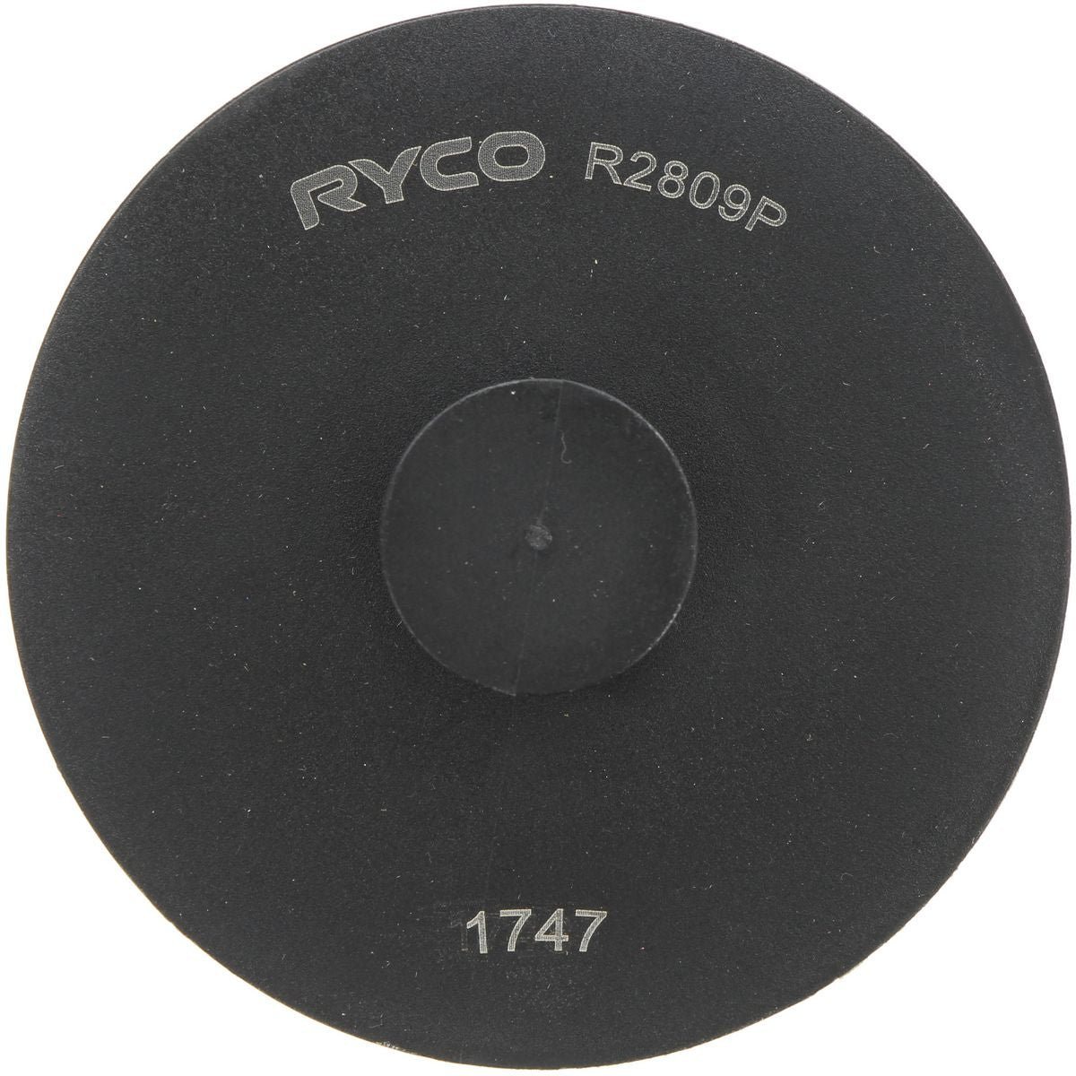 Ryco Fuel Filter R2809P