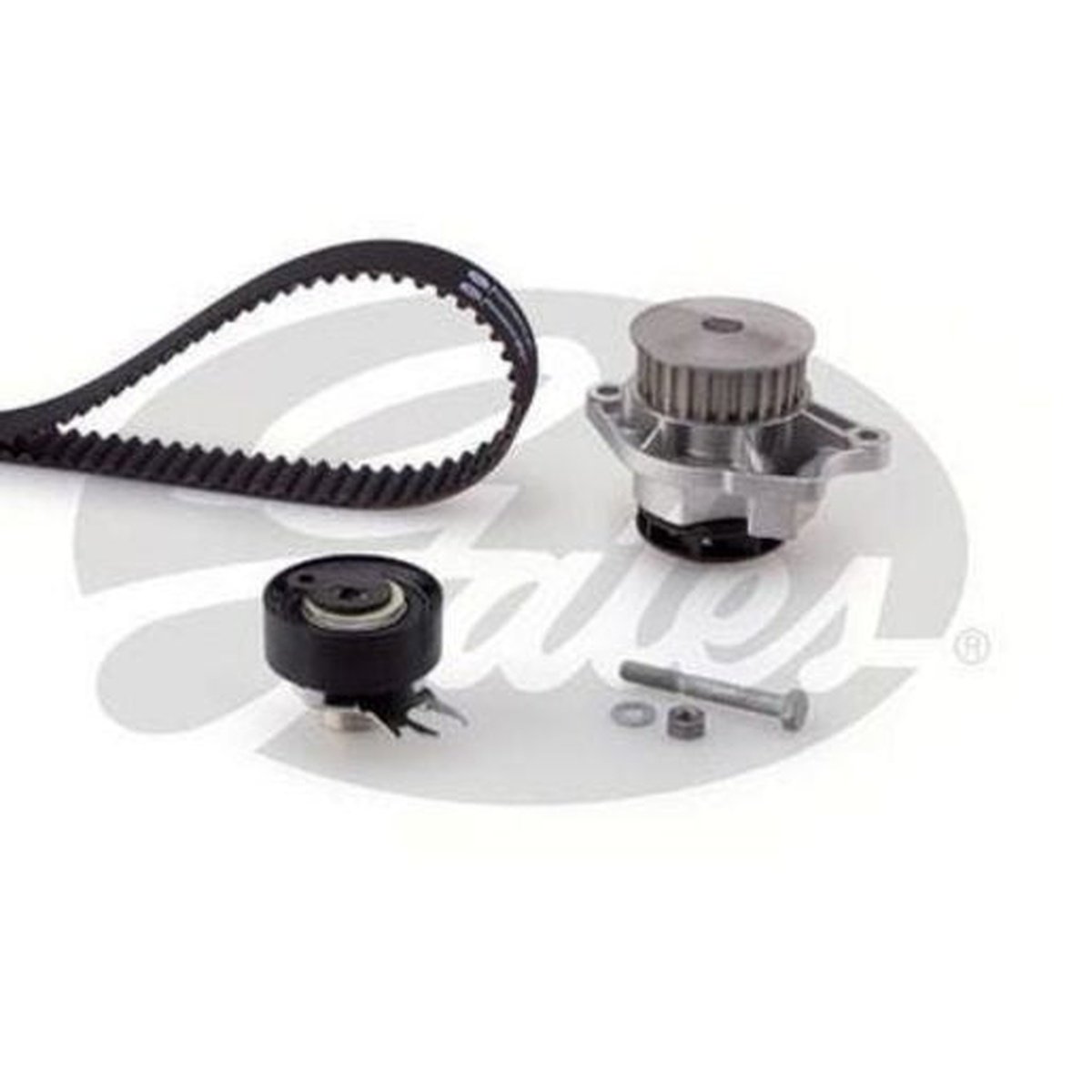 Gates Water Pump & Timing Belt Kit TCKWP1548