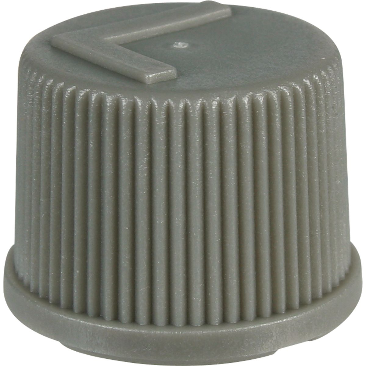 DENSO Service Valve Cap Low Side R134A (Pack of 10) CPX0021