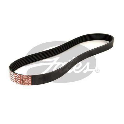 Gates Polyester Micro-V Belt 6PK800