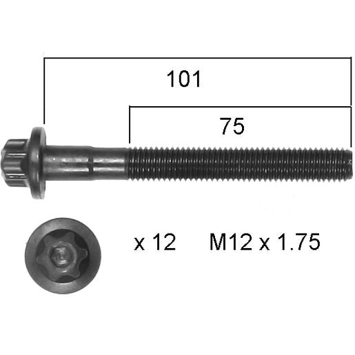 Permaseal Head Bolt Set HBS273