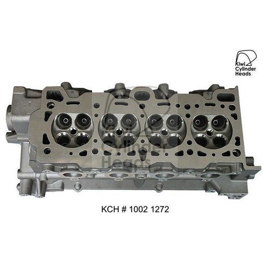 Kiwi Bare Cylinder Head 10021272