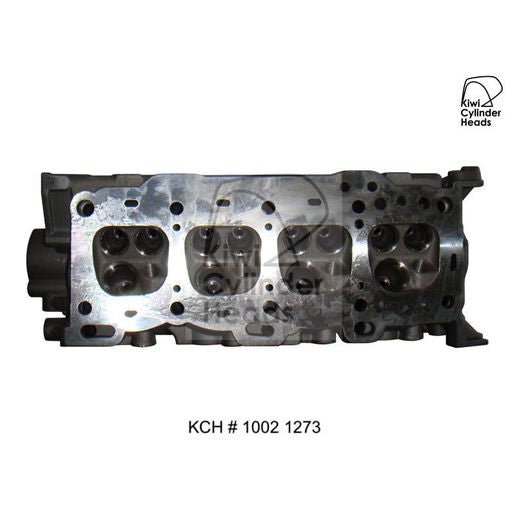 Kiwi Bare Cylinder Head 10021273