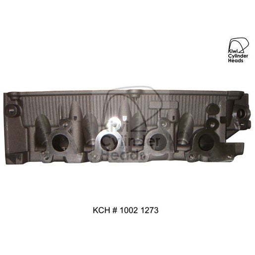 Kiwi Bare Cylinder Head 10021273
