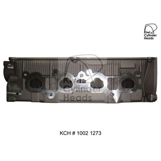 Kiwi Bare Cylinder Head 10021273