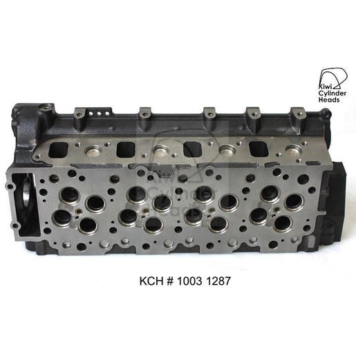 Kiwi Bare Cylinder Head 10031287