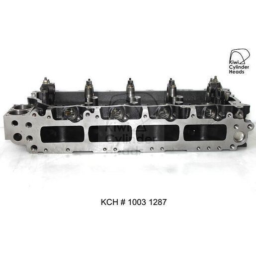 Kiwi Bare Cylinder Head 10031287