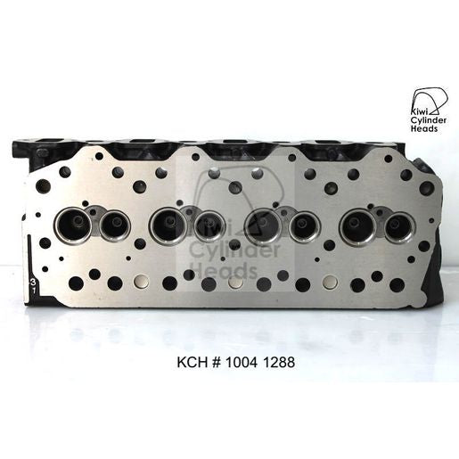 Kiwi Bare Cylinder Head 10041288