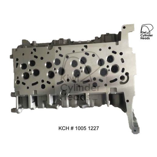 Kiwi Bare Cylinder Head 10051227