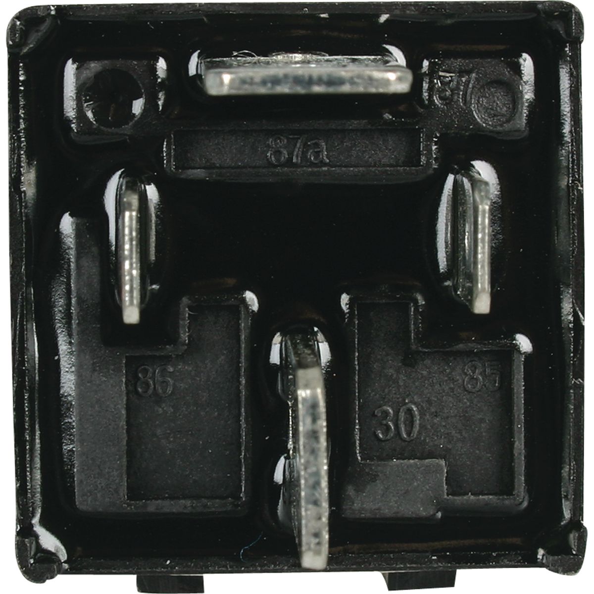 OEX Mini Relay 24V Normally Open 50A - Resistor Protected, Sealed ACX1945RBL