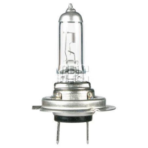 OEX H7 Globe 12V 55W GLX16070