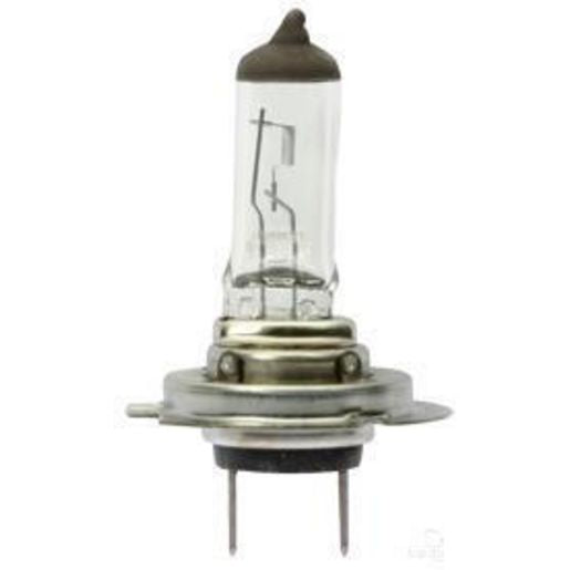 OEX H7 Globe 24V 70W GLX16170