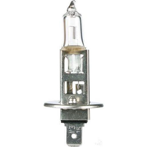OEX H1 Globe 12V 55W GLX16550