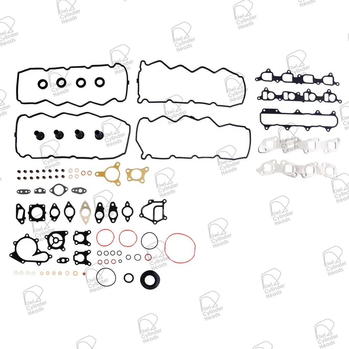 Kiwi Cylinder Heads Head Set 22062034